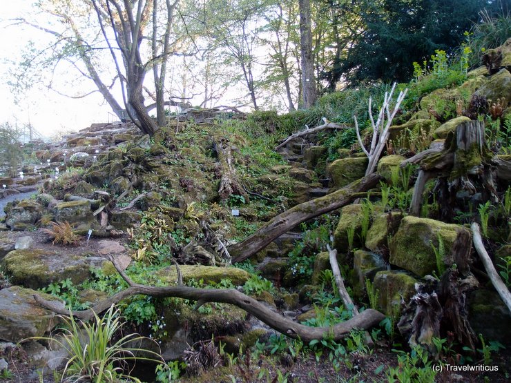 Botanischer Garten in Jena