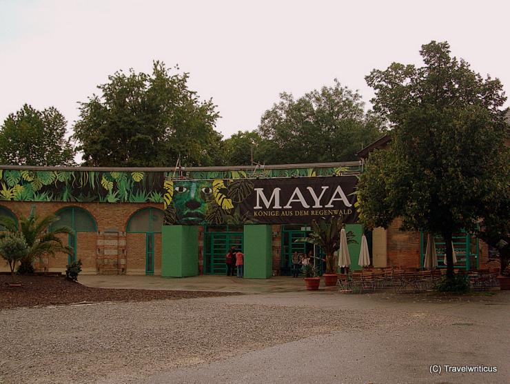 Ausstellung "Maya – Könige aus dem Regenwald"