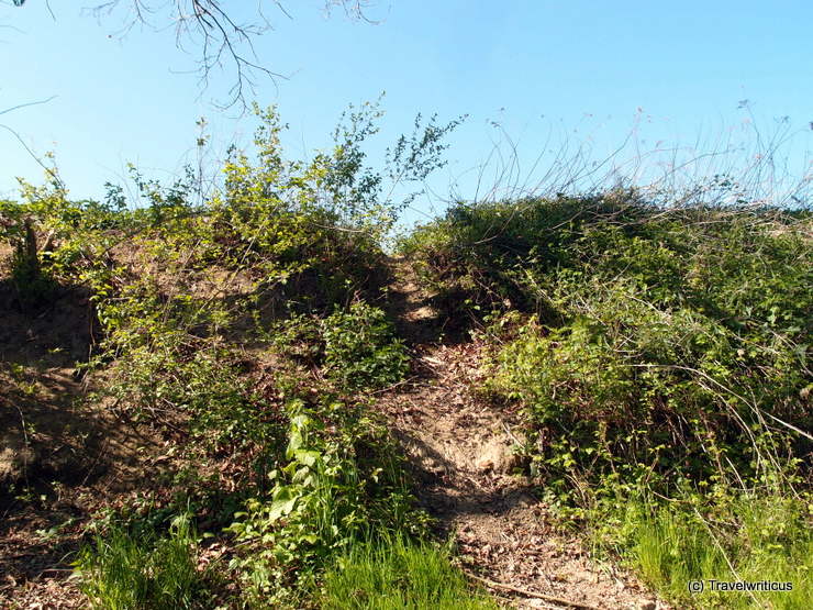 Biberrutsche im Naturpark Raab