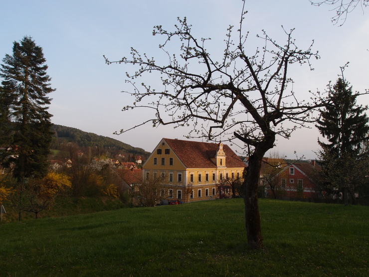 Ansicht von Puch bei Weiz