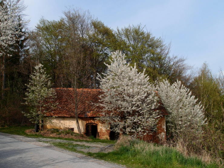 Steirische Apfelstraße